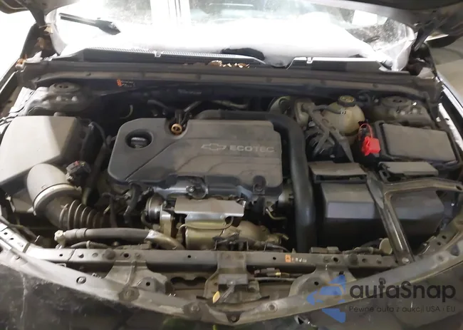 1G1ZD5ST6JF161492: 44323584