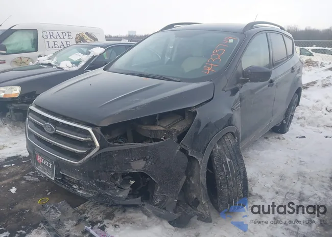 1FMCU9HD1JUD42219: 44323749