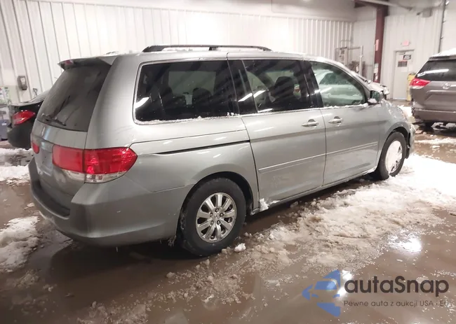 5FNRL38758B058409: 44323804