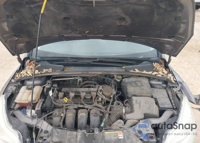 1FADP3F21DL370505: 44324972