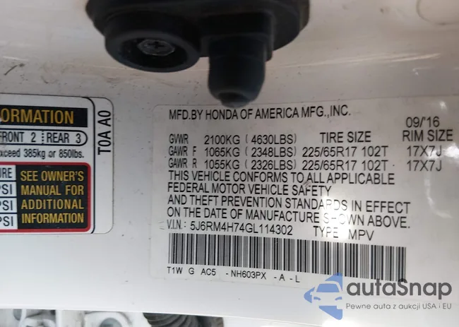 5J6RM4H74GL114302: 44324625