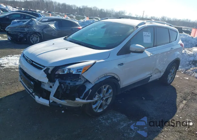 1FMCU9J98EUC15348: 44324664