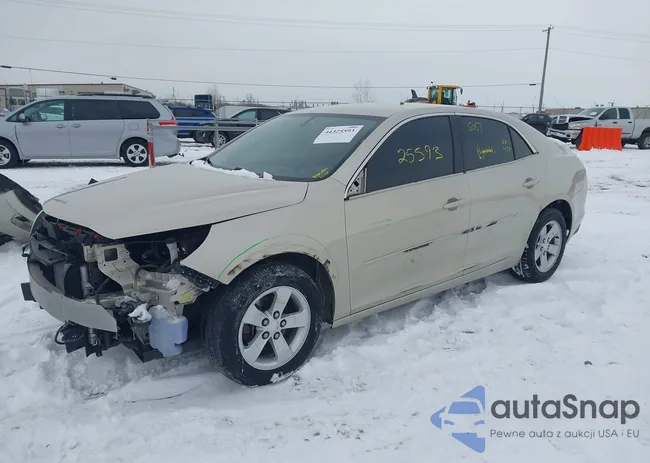 1G11B5SA1DF156030: 44325593