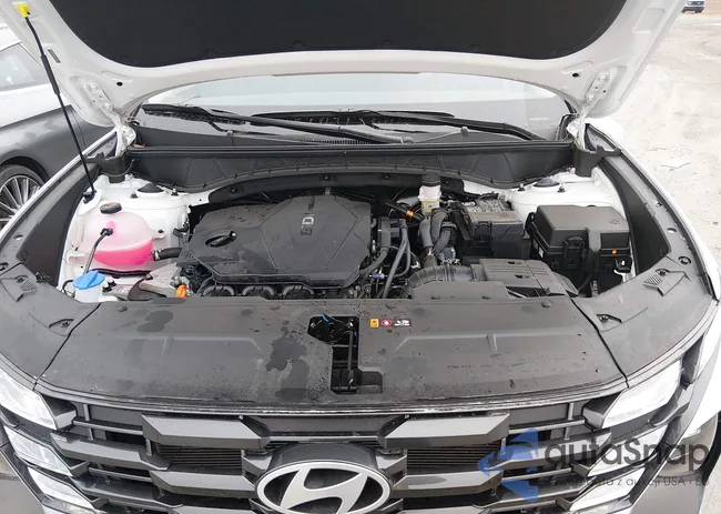 5NMJB3DEXTH613897: 44325651