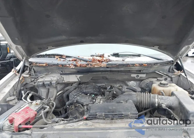 1FTEW1CM7BFA05575: 44325720