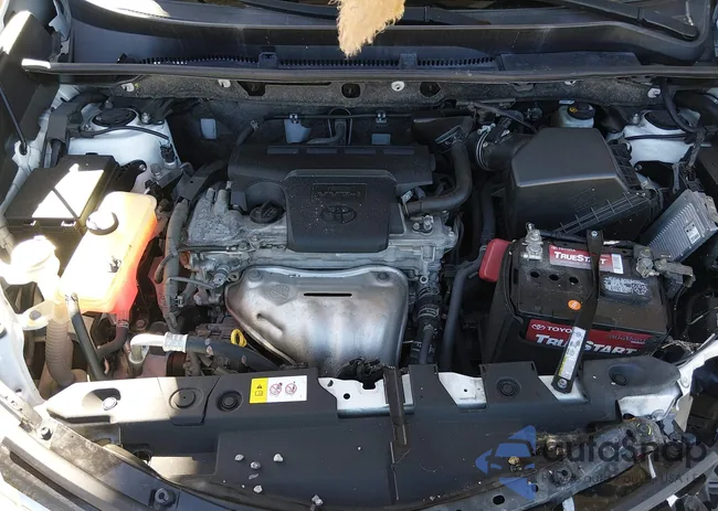 JTMZFREV0JJ731506: 44325842