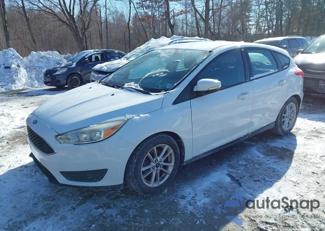 1FADP3K23FL233137: 44325884