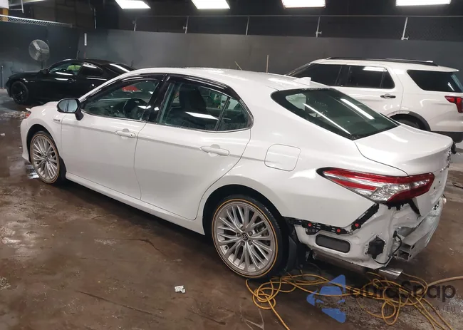 4T1F31AK4LU011650: 44327366