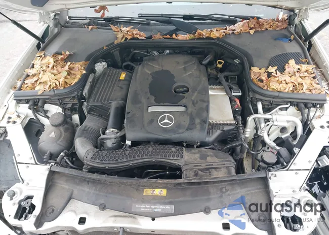 WDDZF4JB4JA309811: 44327375