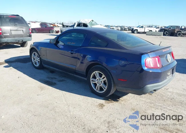 1ZVBP8AM6B5128802: 44327378