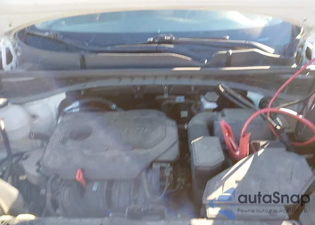 KNDPMCAC1L7756980: 44326615