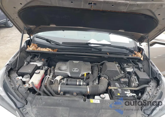 JTJBARBZ2H2114715: 44328041