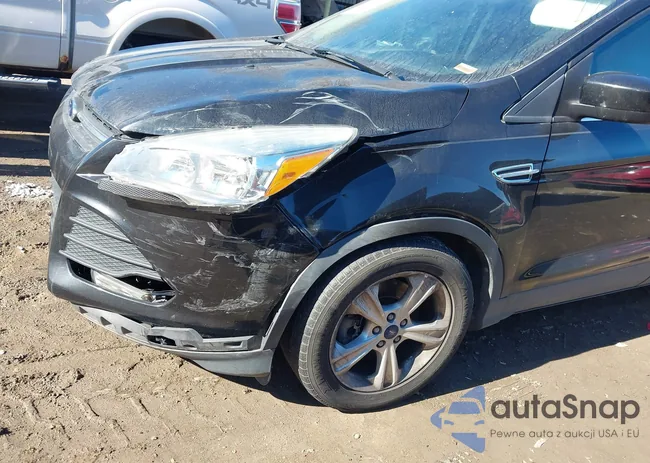 1FMCU0G90EUC74896: 44328160