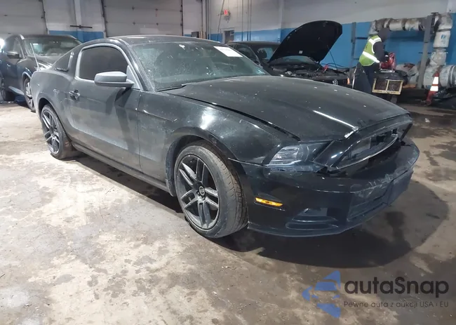 1ZVBP8AM8E5211541: 44328281