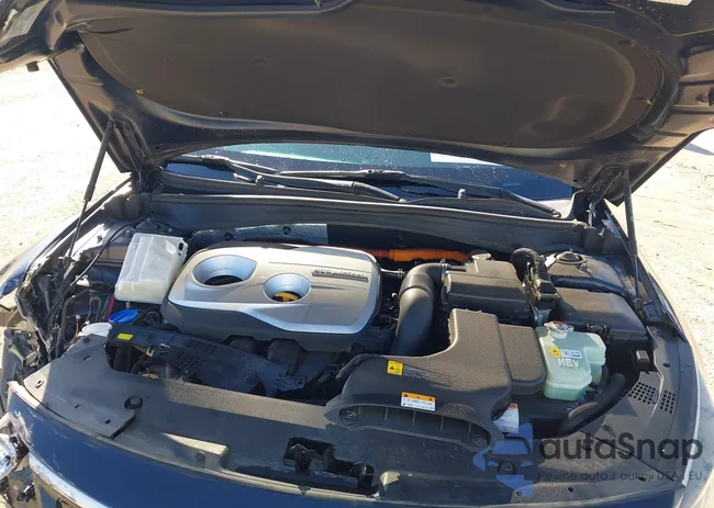 KNAGU4LE0K5031916: 44329097