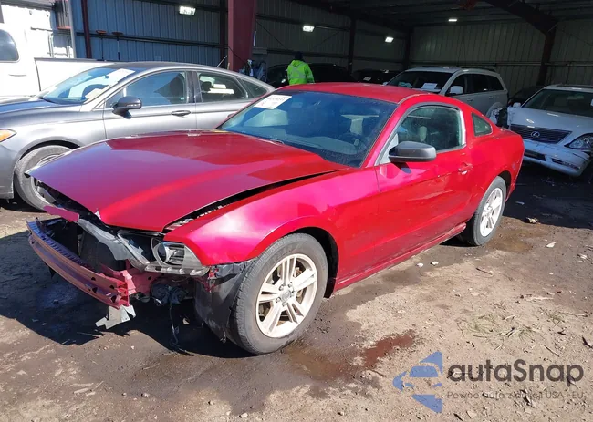 1ZVBP8AM7E5228251: 44329233