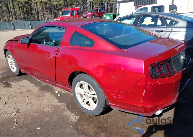 1ZVBP8AM7E5228251: 44329233