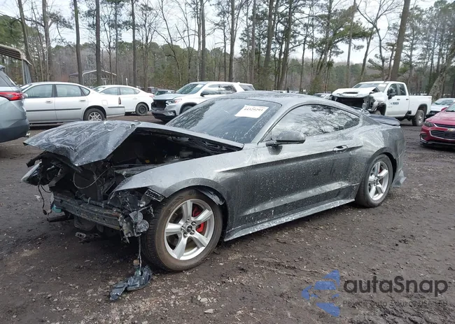 1FA6P8AM9H5201910: 44329293