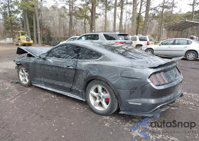 1FA6P8AM9H5201910: 44329293