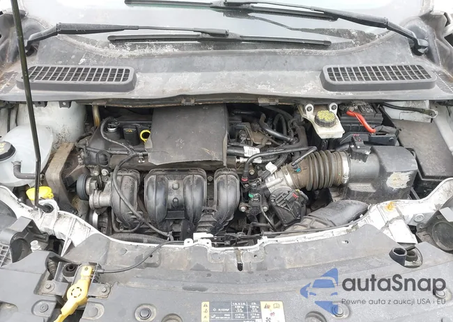 1FMCU0F79HUB03729: 44329390