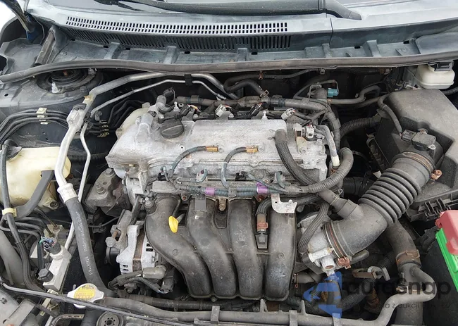 2T1BU4EE6BC748401: 44329636