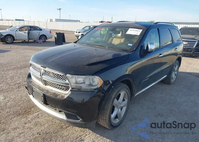 1D4SE5GT9BC695915: 44329825