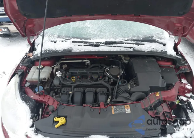 1FADP3F2XEL283154: 44331011