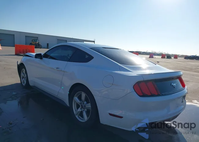 1FA6P8TH1F5417344: 44331359