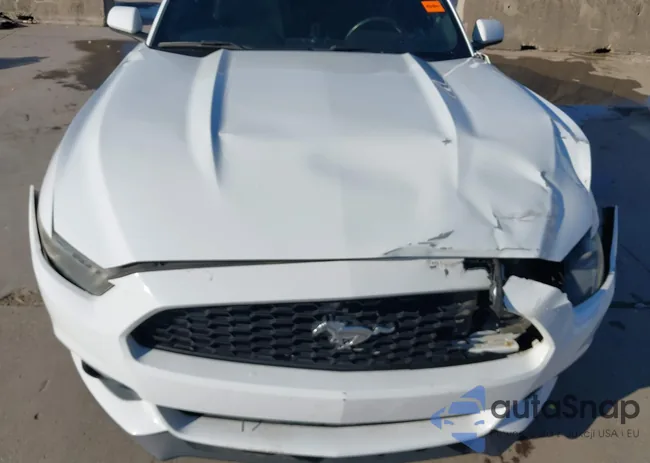 1FA6P8TH1F5417344: 44331359