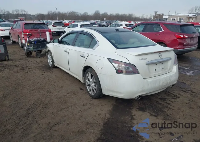 1N4AA5AP1DC829082: 44332473