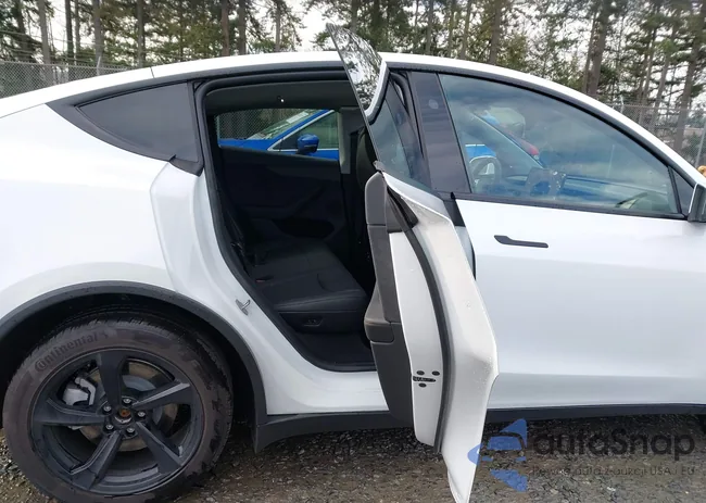 7SAYGDED5TF519040: 44331633