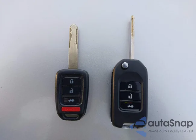 19XFB2F54FE086769: 44331825