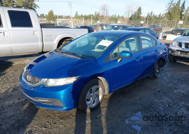 19XFB2F54FE086769: 44331825