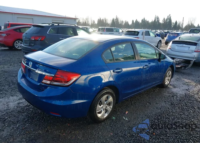 19XFB2F54FE086769: 44331825