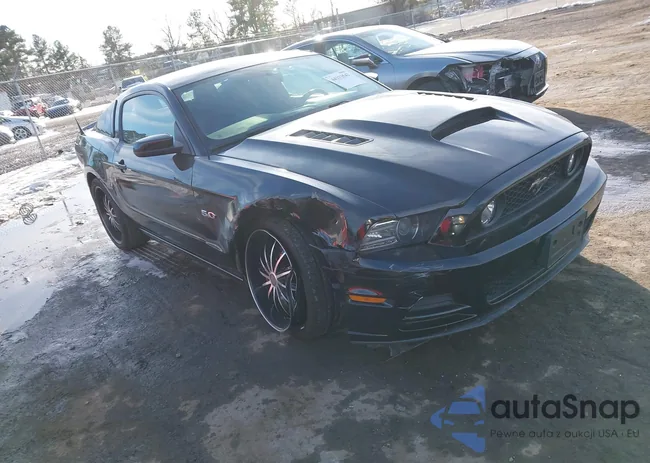 1ZVBP8CF1E5247683: 44333542