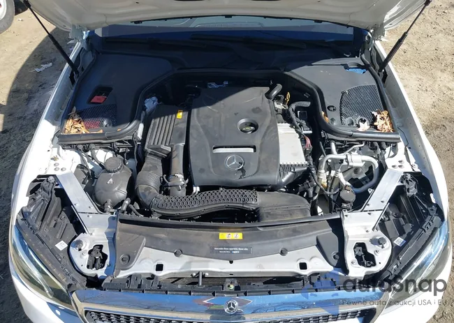 WDDZF4JB5KA558233: 44334062