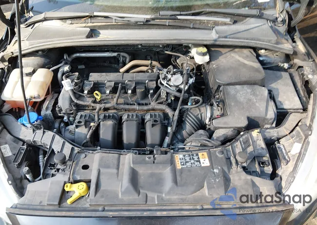 1FADP3K2XHL252593: 44334312