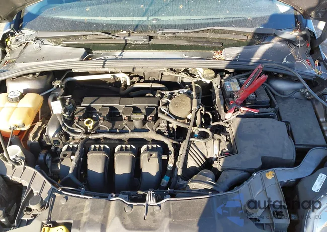 1FADP3F20DL315219: 44333677