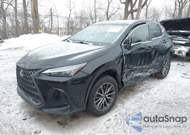 JTJADCEZ4N5000222: 44333907