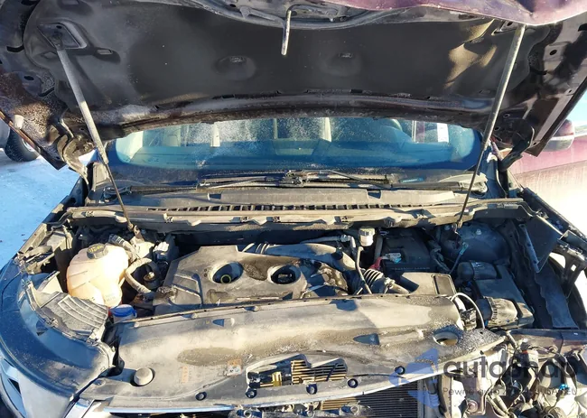 2FMPK4J95JBC07377: 44333949