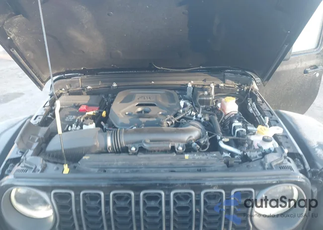 1C4PJXFN4TW185565: 44335171