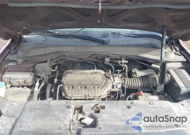 5FNYF18368B017498: 44335193