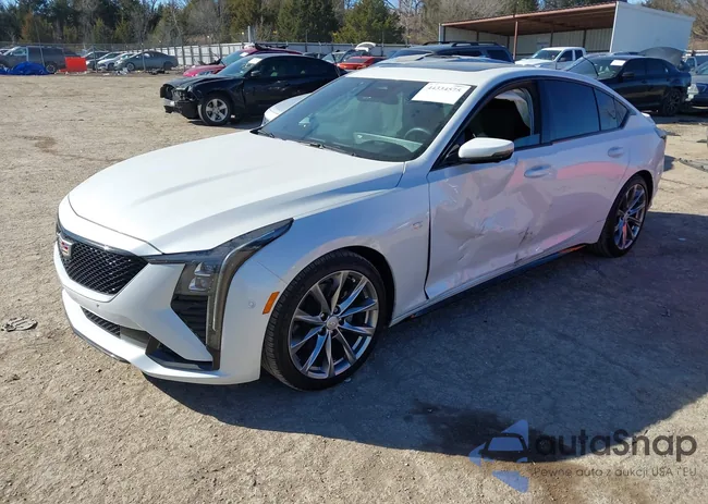 1G6DP5RK2S0116563: 44334575