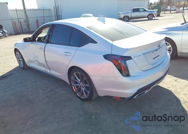 1G6DP5RK2S0116563: 44334575