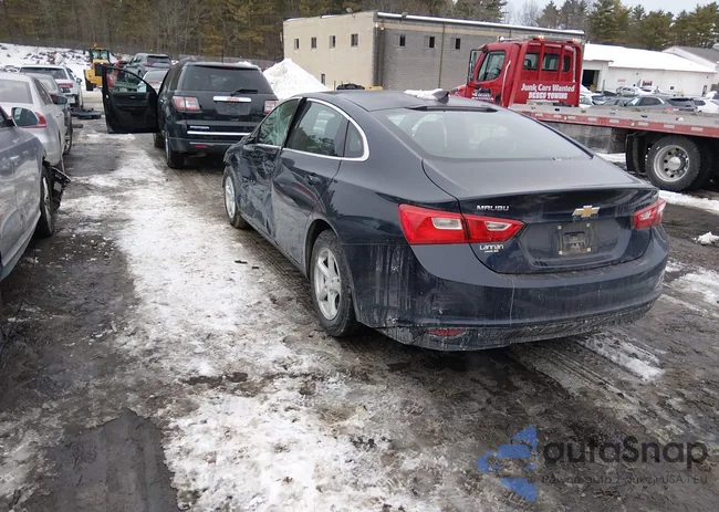 1G1ZB5ST5GF302275: 44336136