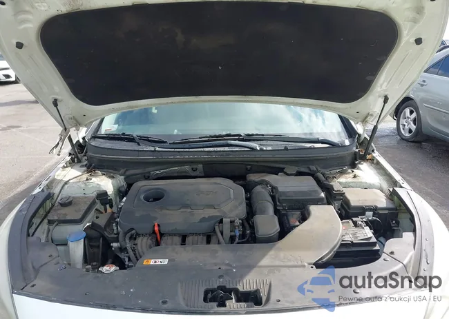 5NPE24AF7HH453959: 44336202