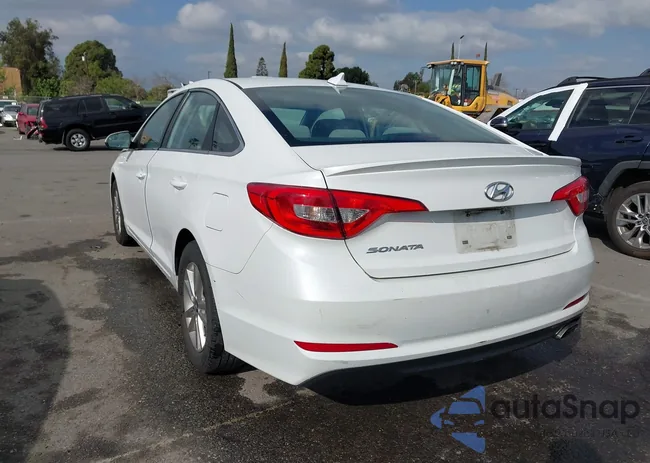 5NPE24AF7HH453959: 44336202