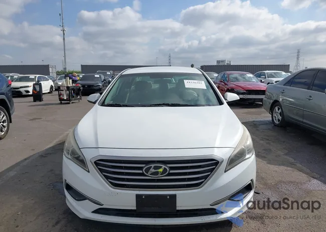 5NPE24AF7HH453959: 44336202