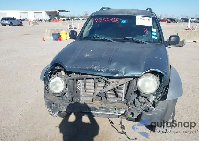 1J4GK48K65W535225: 44336308