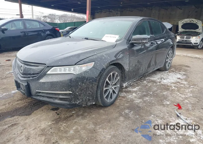 19UUB2F33FA011216: 44336318